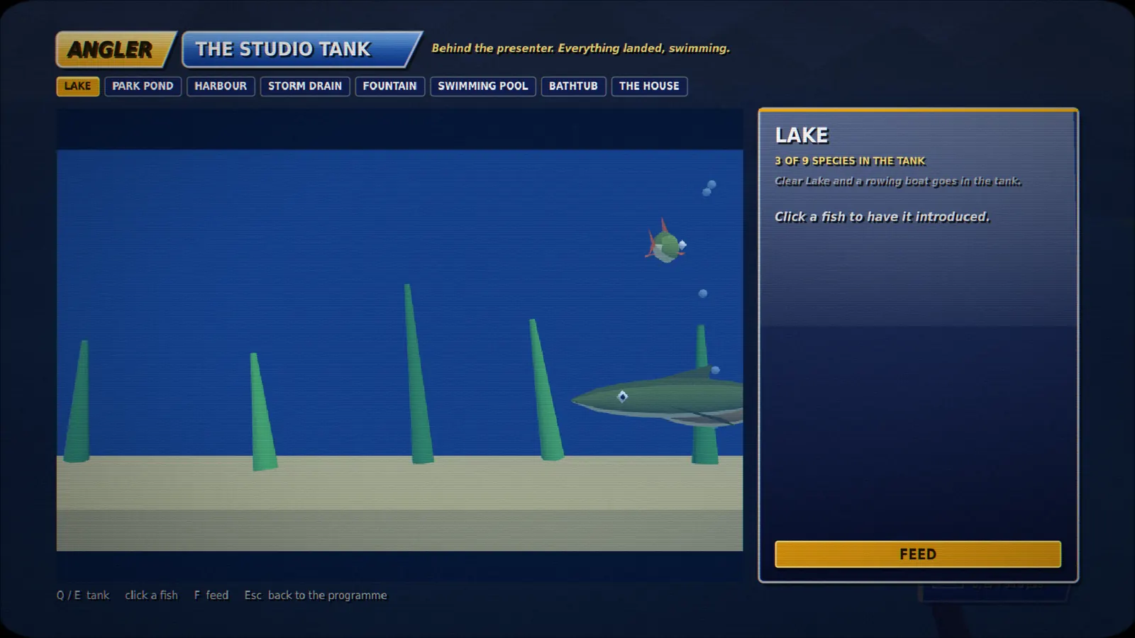 The studio aquarium, where caught species swim.